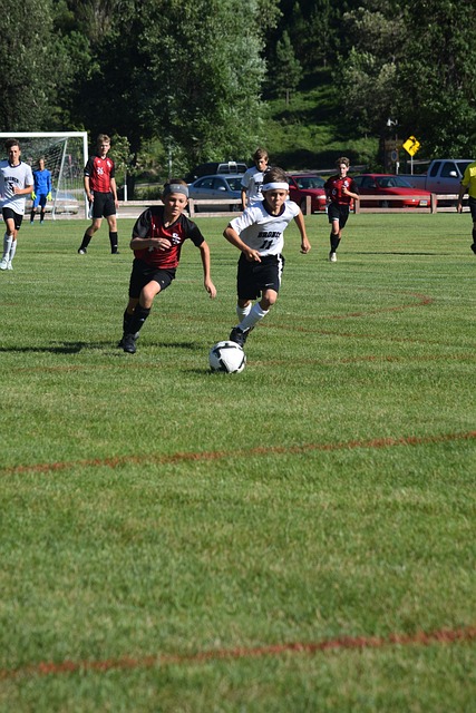 稳健表现相 稳健表现相