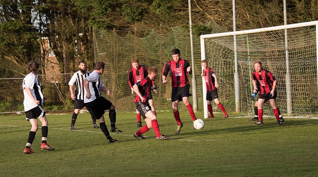 赛季刚刚开 赛季刚刚开