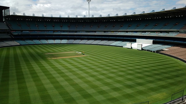 們的心理素 們的心理素