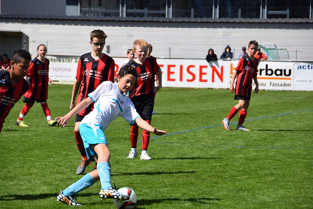 了高额合同 了高额合同