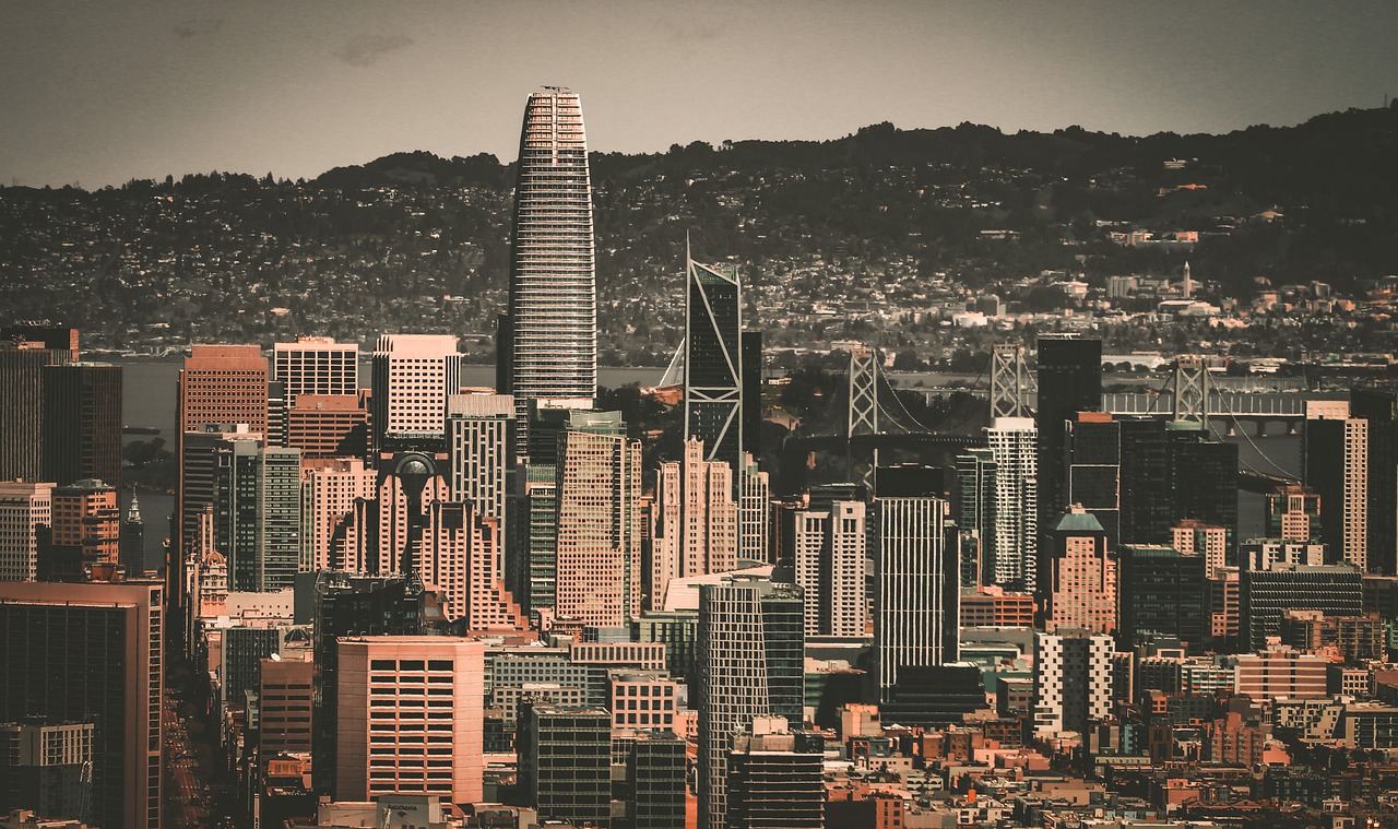 法国队在此 法国队在此