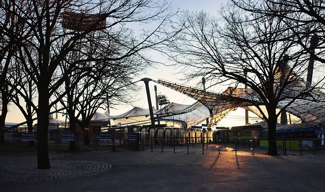 策略与团队 策略与团队