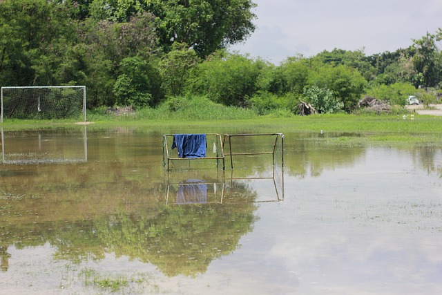 许多球员在 许多球员在