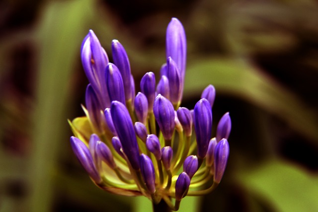 这不仅是他 这不仅是他