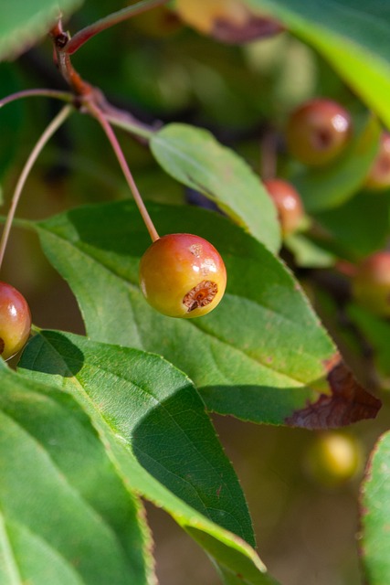 综合来看 综合来看